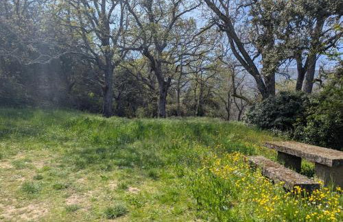 La Bergerie de Lorette - Au Cœur du Luberon - Foto 38