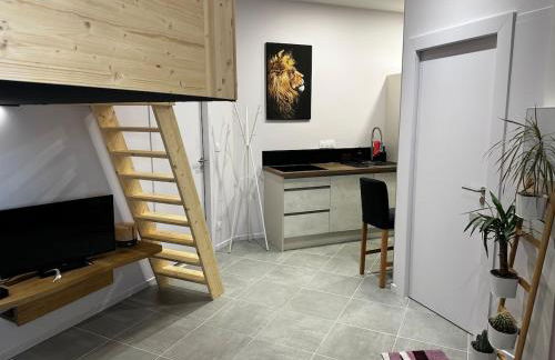 Le Studio de l 'Avenue - Foto 18