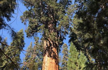 Delilah Ridge Winery Mid Mod Guesthouse - Foto 57