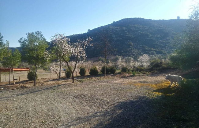 Espai Natural La Comanglora - Foto 41