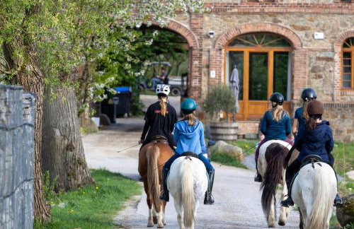 TinyHousebeiDresden in absoluter Alleinlage direkt am Naturteich große Terrasse Grill und Kaminofen Juni - September Mindestmietzeit 1 Woche Sa- Sa - Foto 20