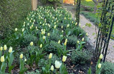 Quaint self contained cottage near Edinburgh. - Foto 12