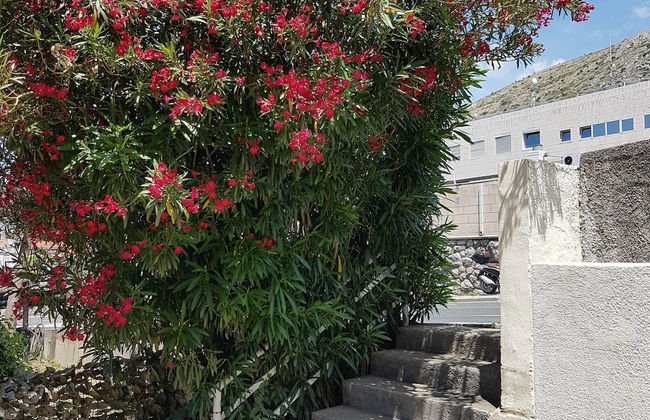 Studios IM - Photo 51