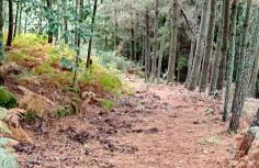 Casa da Viña - Ribeira Sacra - Foto 33