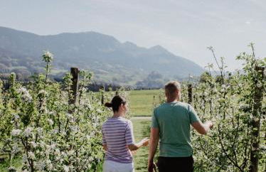 4 Sterne Ferienwohnung Hochries - Foto 34