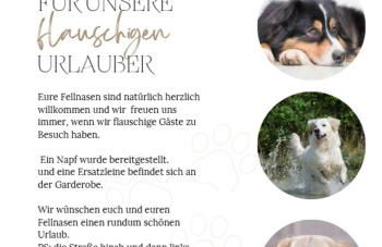 Tiny-Hohenberg - Foto 14