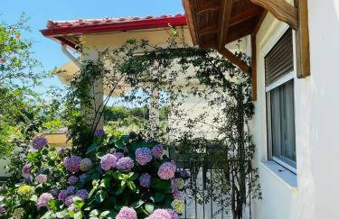 Rosa's Garden House - Foto 15