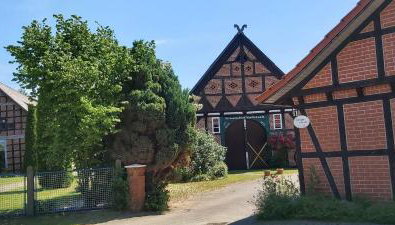 Ferienhof-Jameln-Lüneburger-Heide - Foto 4