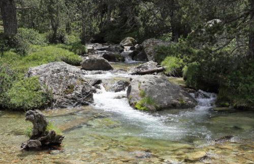 Apartaments Casa Sastressa - L'Amfitriona - Photo 17