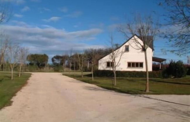 Whitestone Cottages - Foto 16