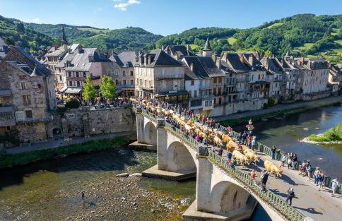 T3 village goelia rez de jardin - Photo 7