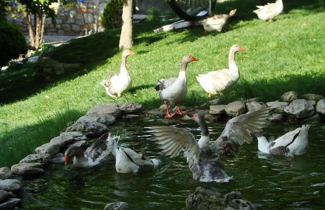 Ataol Tatil Ciftligi - Foto 25