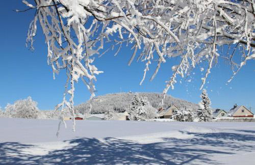 Ferienwohnung am Bärenstein - Foto 22