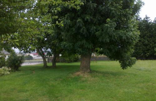 Apartamentos Rurales el Ferreirón - Foto 60