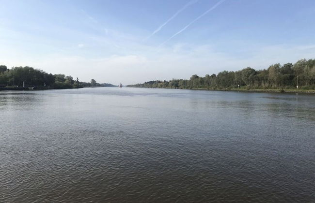 At the Provision House Modern Retreat - Photo 26