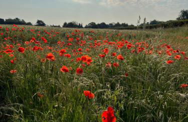 The Old Stable at Manor House, Middleton - Foto 30