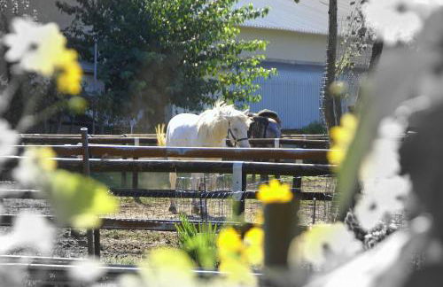 Zio Stefy - Photo 27