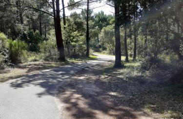 Appartement cosy - Foto 14