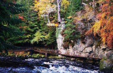 Mike's 3-bedroom Countryside Cottage - Foto 52