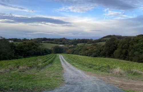 Artekoborda - Foto 48