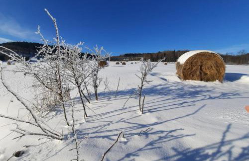 Mi Casa En Paczyno - Foto 51