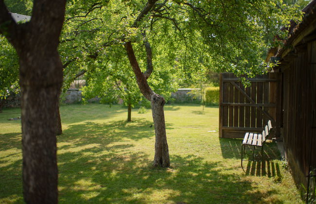 Kojetice na Moravě - Foto 32