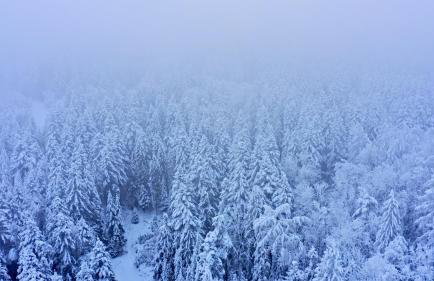 Na Jasieniu - Foto 60