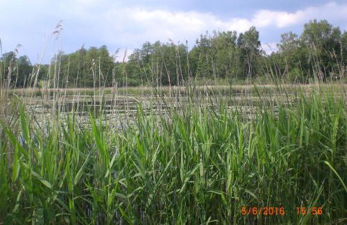 Ferienhaus am Geiersberg - Foto 43