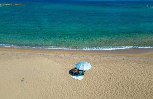 Cornelia Hippie Magic Bus - Foto 66