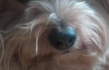 The LITTLE HOUSE in HULL - Foto 61