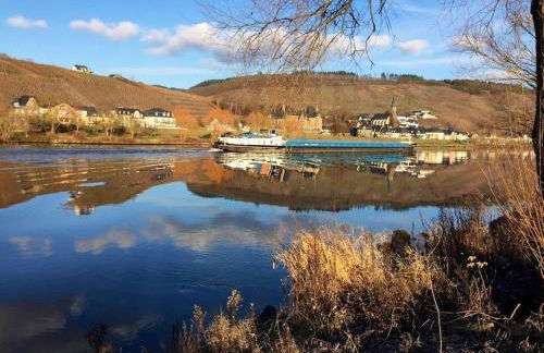 Wohnen direkt an Mosel und Goldbach - Foto 30