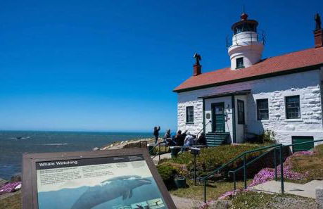 Pacific Seaside House by Pebble Beach & Redwoods - Foto 32