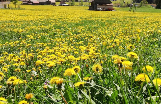 Kari's Schüür - Foto 5