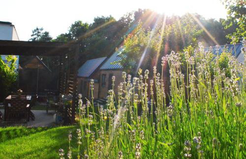 Lawendowo- sauna, jacuzzi, domki w ogrodzie i apartamenty w kamienicy - Photo 42