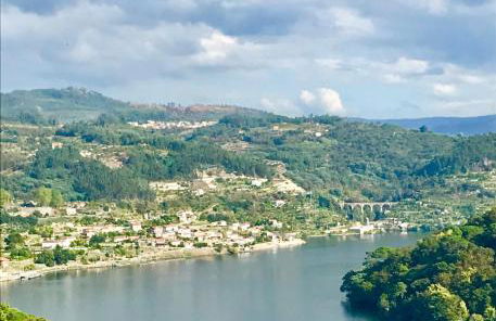 Pedacinho de Mundo Douro - Foto 40