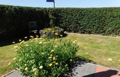 Fewo Storchennest - Foto 12