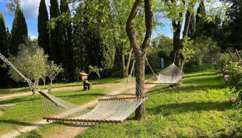 Quinta da Mata de Baixo - Foto 4