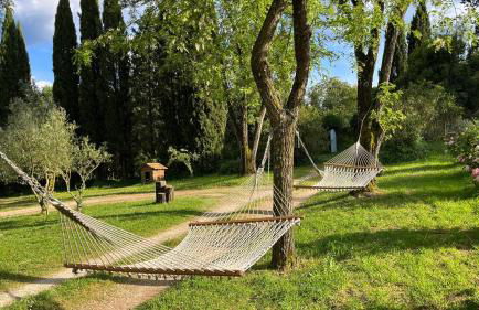 Quinta da Mata de Baixo - Foto 4