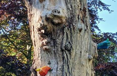 Couple's Retreat-West Kilbride - Foto 21