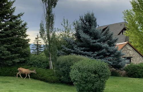 Family Getaway-Pool, Hot Spring, Scuba & Ice Castles 727 home - Foto 41