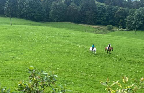 Les Hauts de la Piquante Pierre - Foto 33