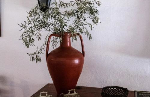 Monte das Oliveiras - Foto 8