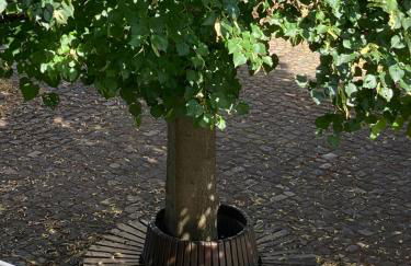 Loft in Alf an der Mosel - Foto 10