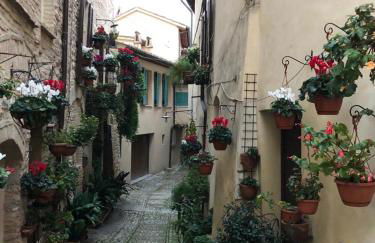 La Casa di Smilla - (Bevagna) - Photo 24