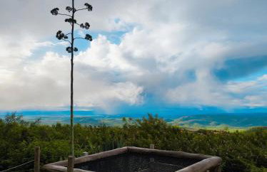 Chalé Formoso - Chalé Romântico com Hidromassagem - Foto 47