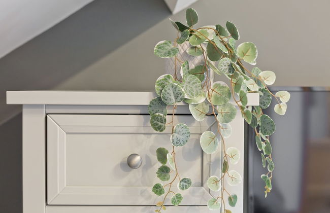 Malleus House - Photo 16