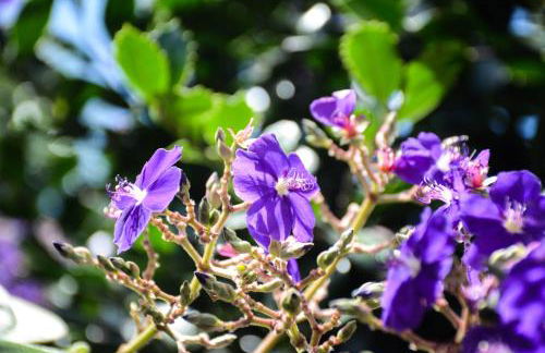 Quinta dos Frutos - Foto 12