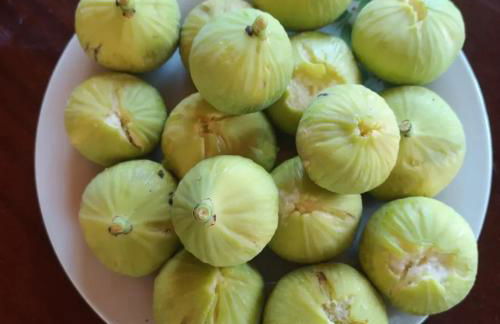 Seaside Apartment in Tsonia - Photo 35