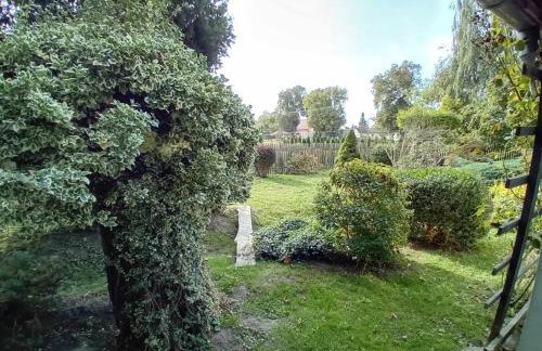 Agroturystyka Zielony Zakątek - Foto 45