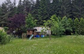 Altes Zollhaus im Wald - Foto 65